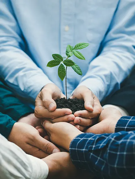 Sociedad participativa y ciudadania responsable 